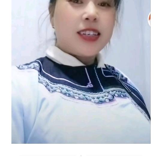 会飞的企鹅
