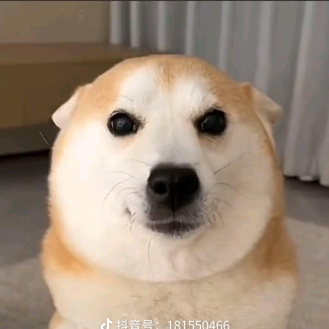 原权要快楽