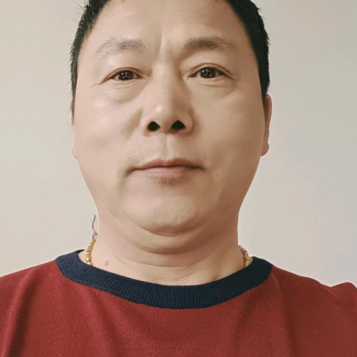鸿运当头王平