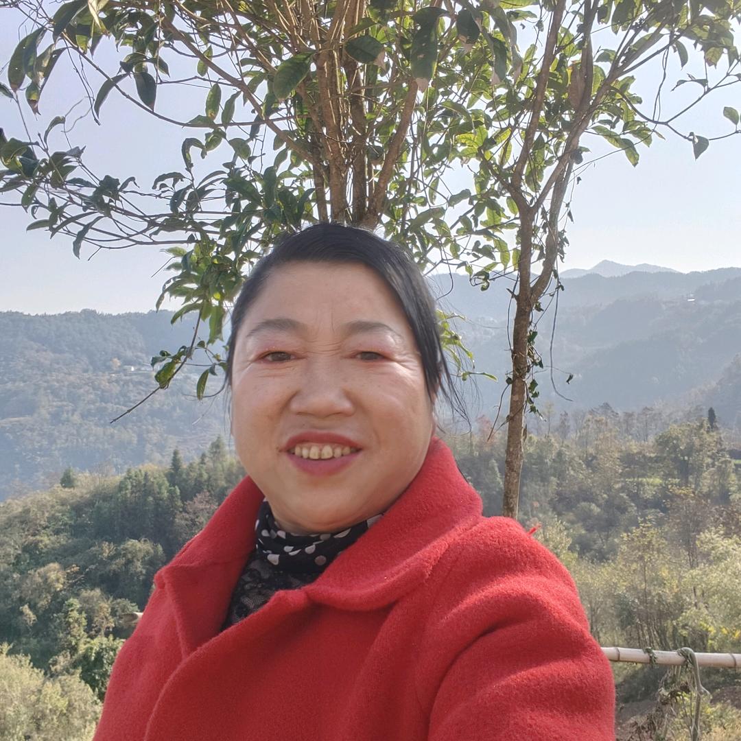 冬月梅(不定时开播)