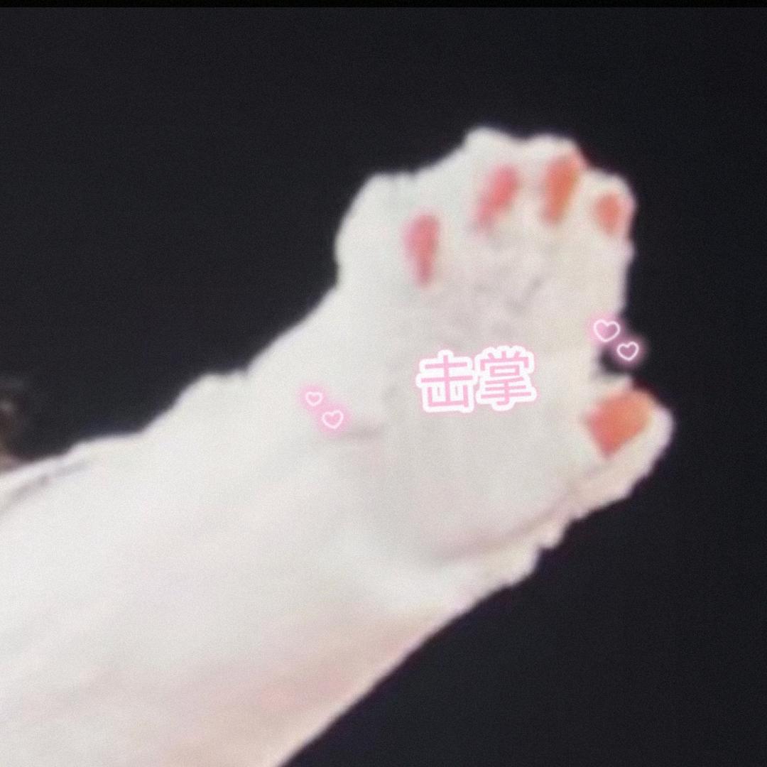 买不到布布的卡某某27