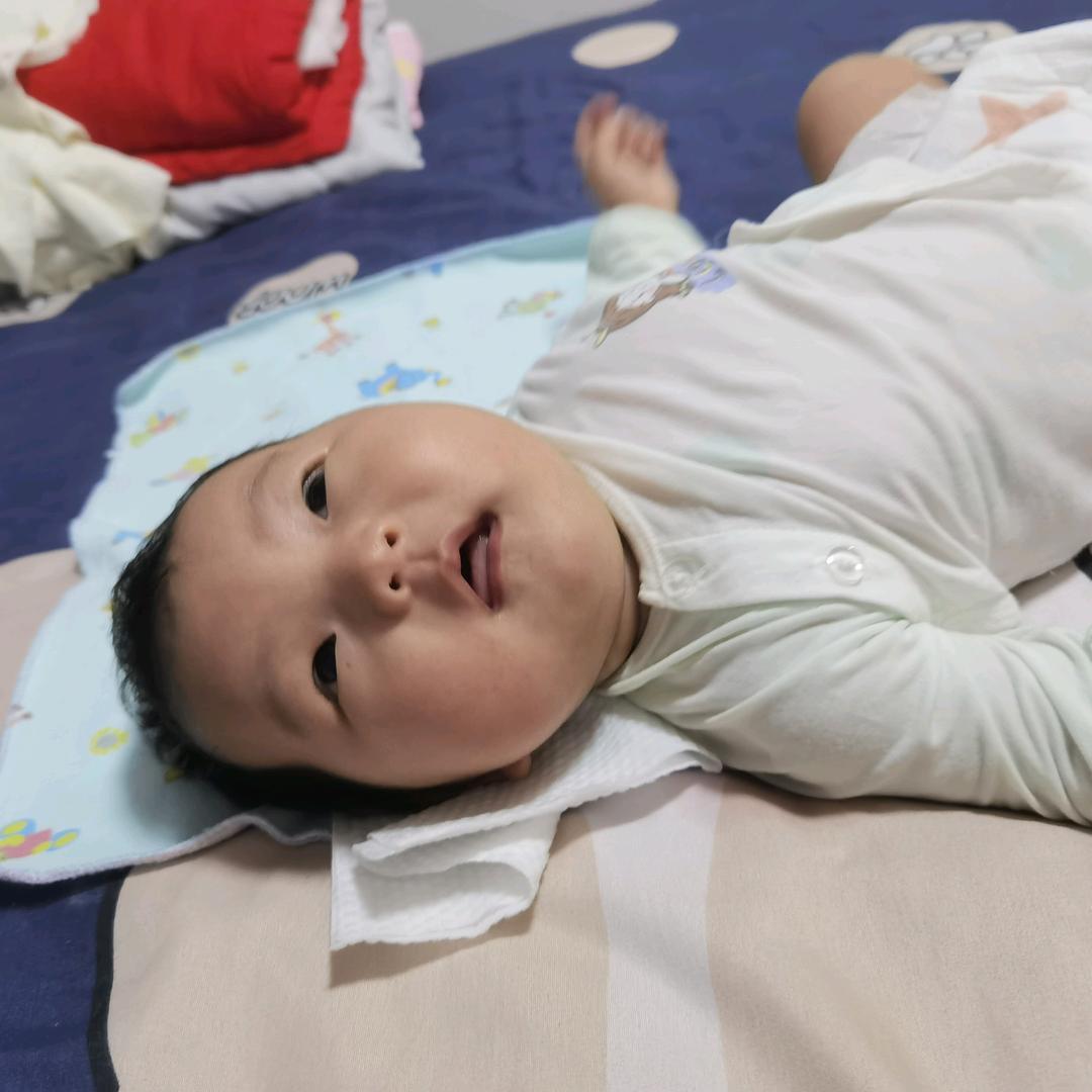 柠檬麻麻