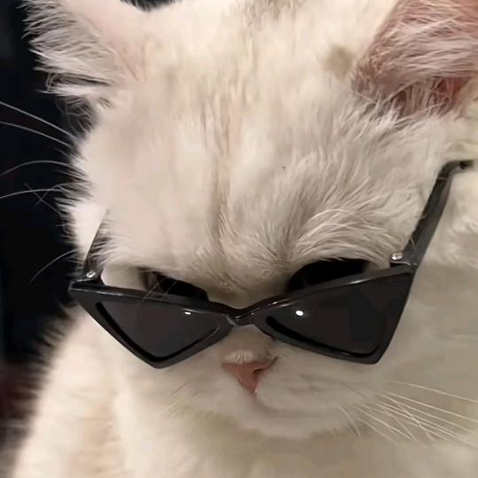 唐饱饱（南区甜妹）