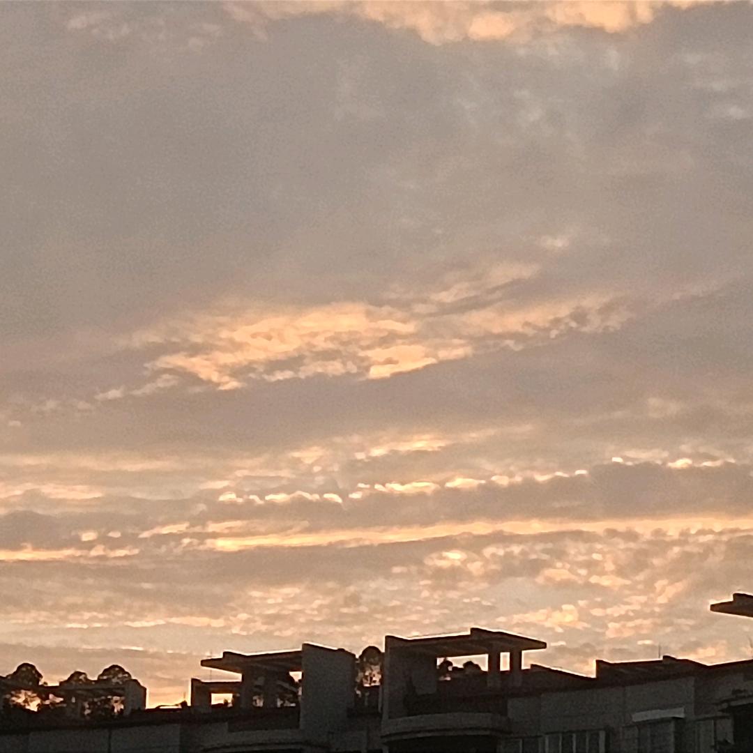 小心飞鱼