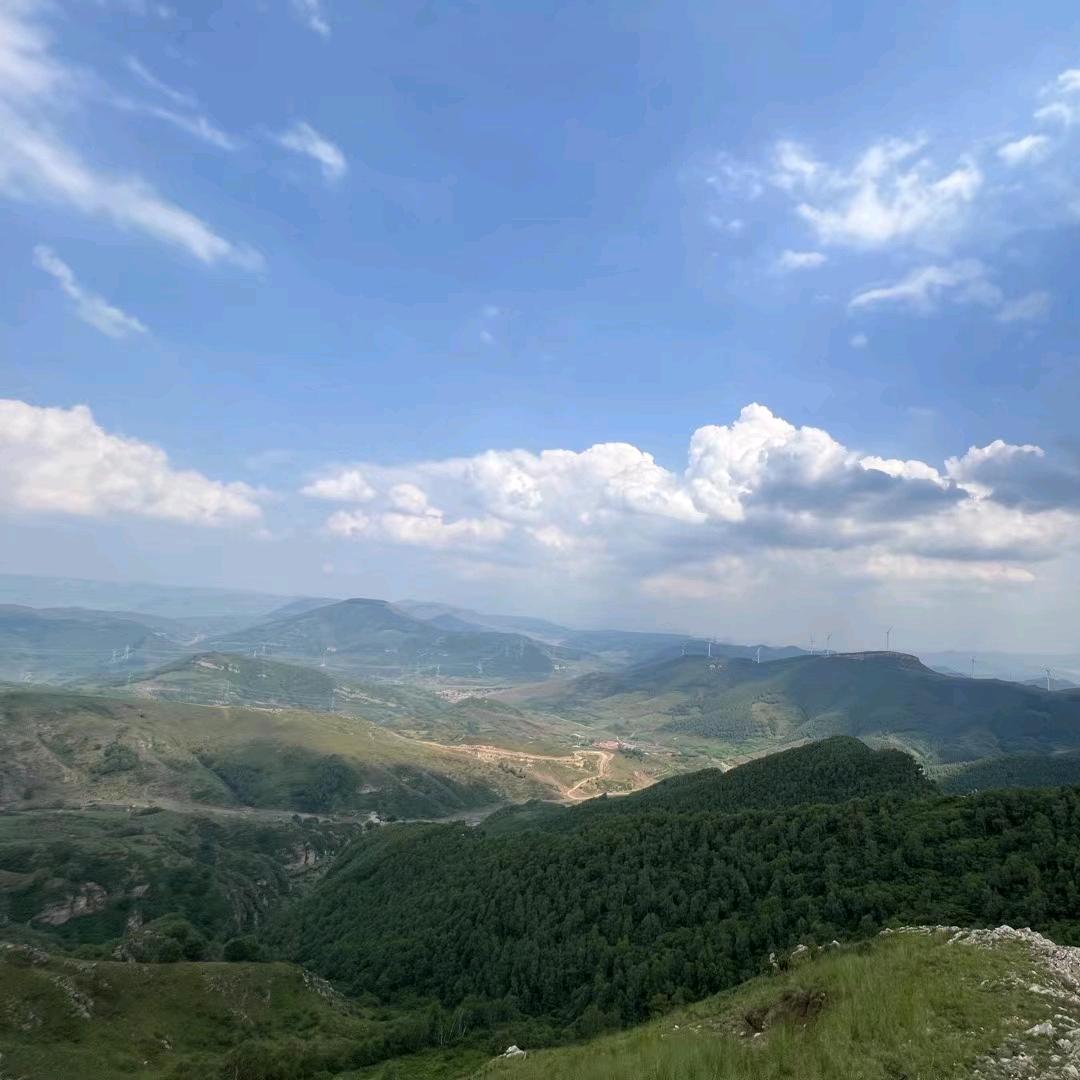 李村培炳贴砖咨询