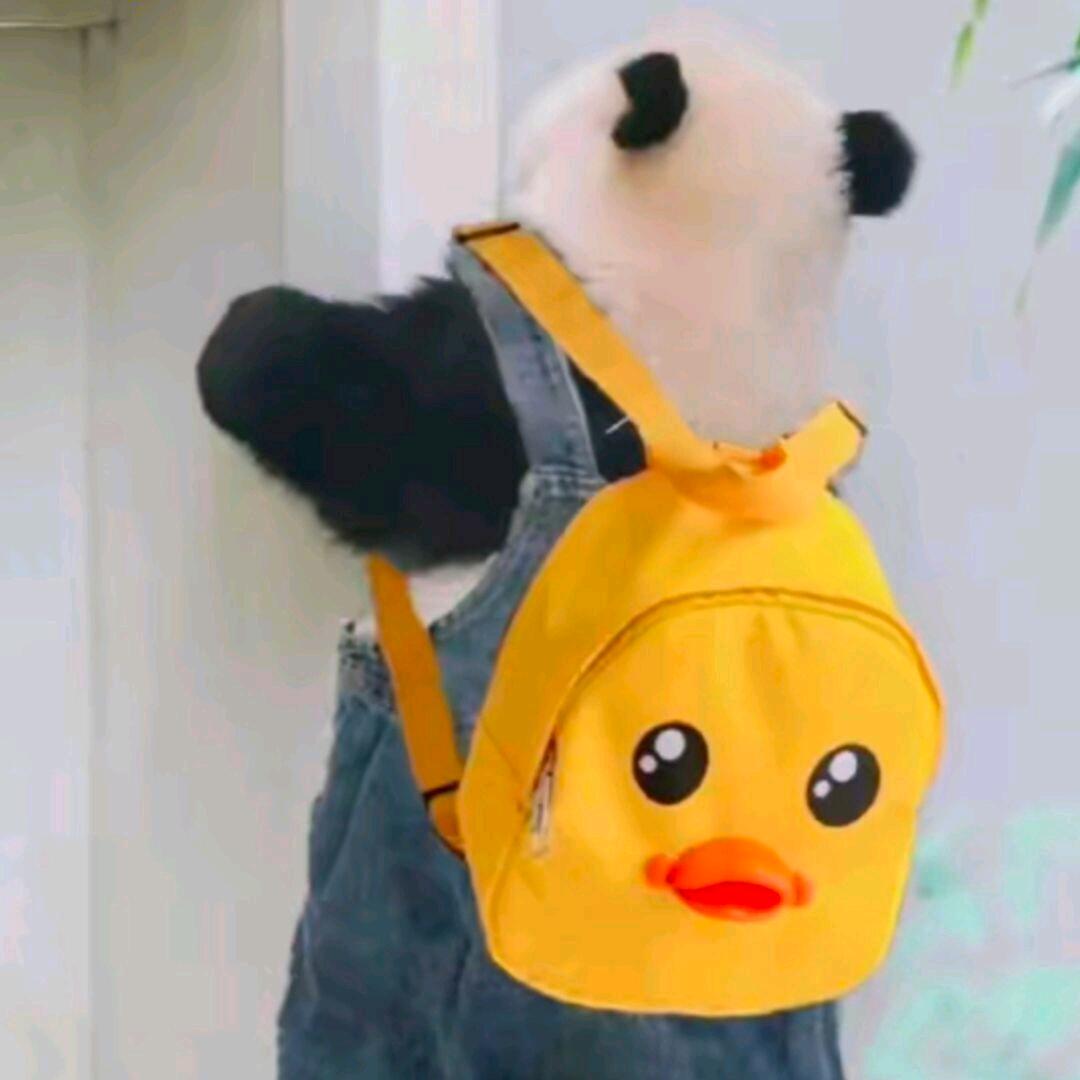 我只有你了
