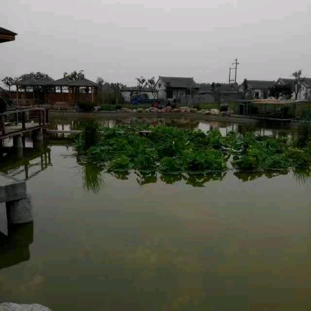 豫北驾校马长栓