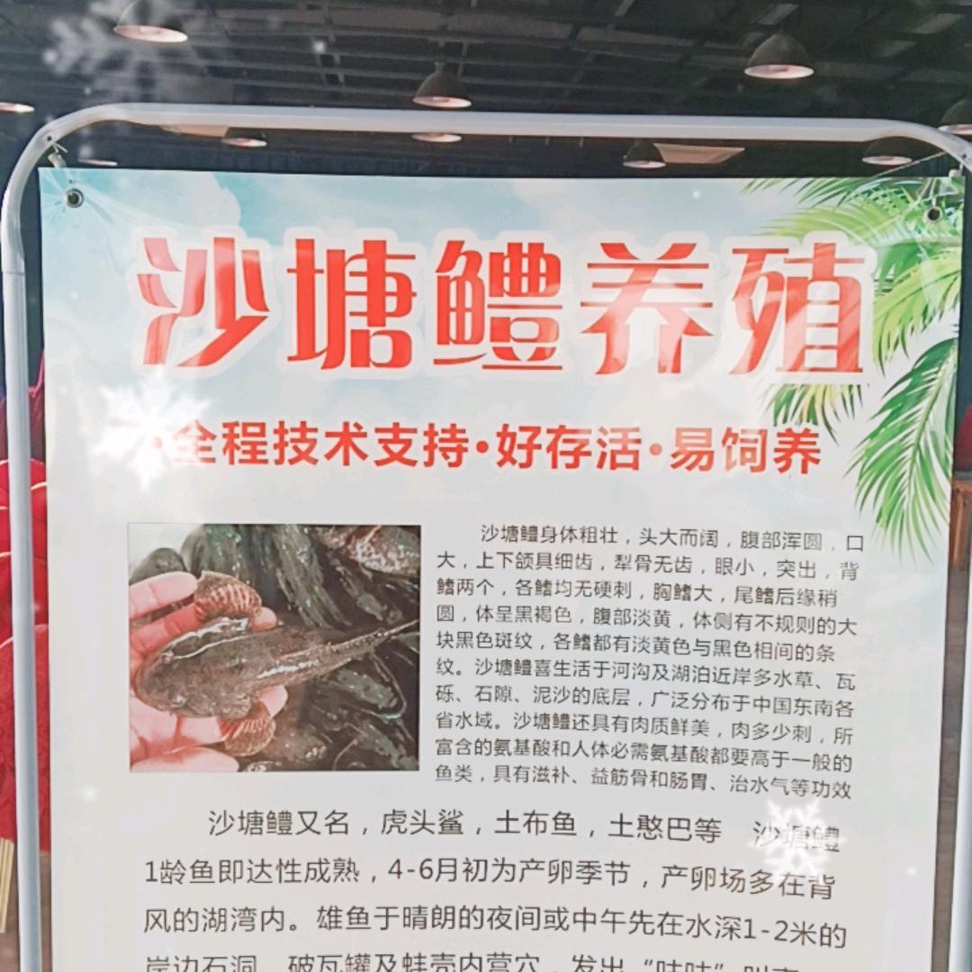 水产养殖（赵老师）