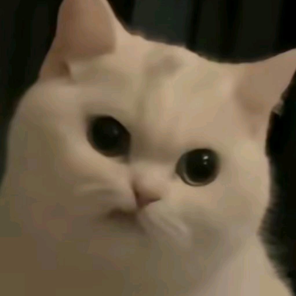 匿名网友