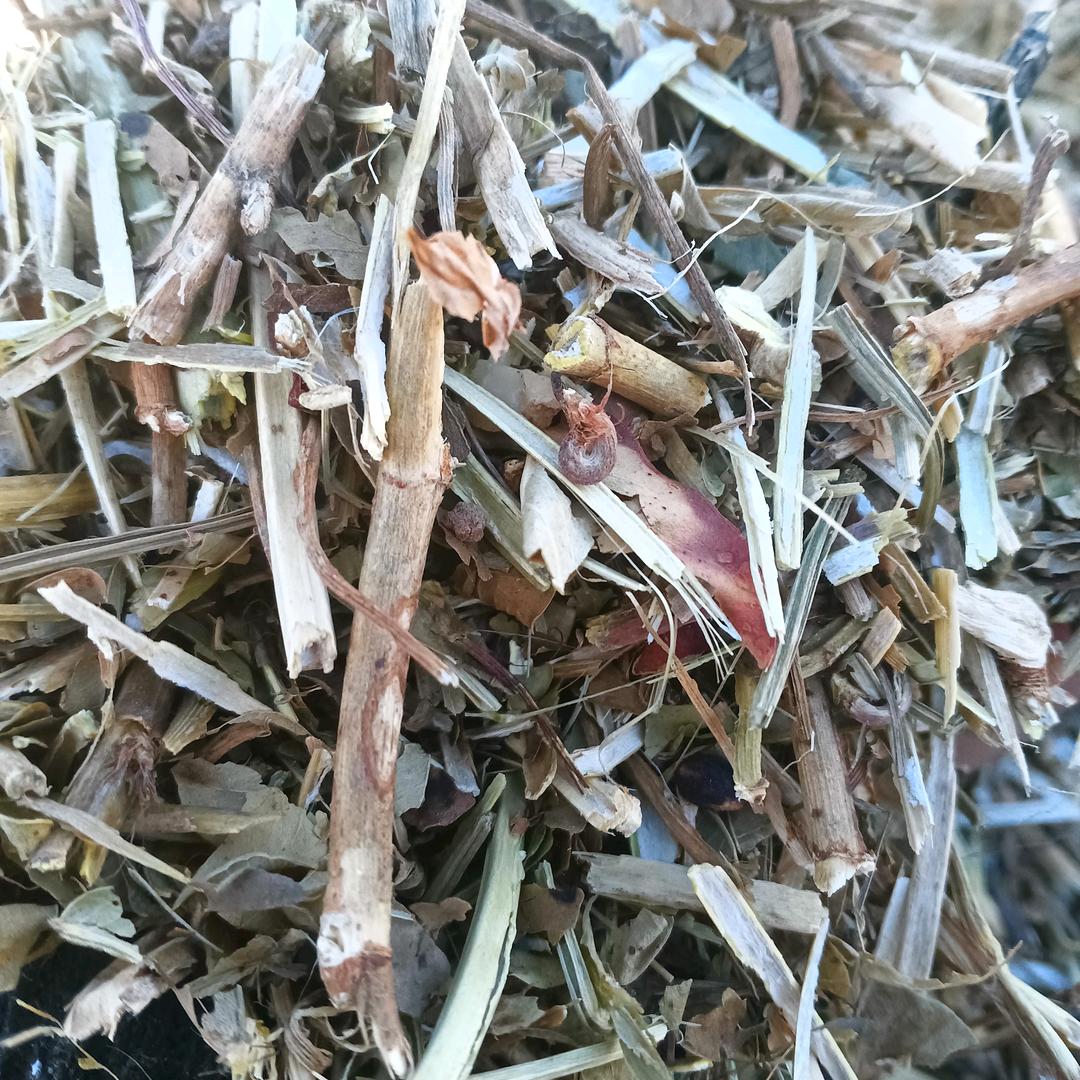 高价回收正兴摘果机，华盛除膜机，奥特除膜
