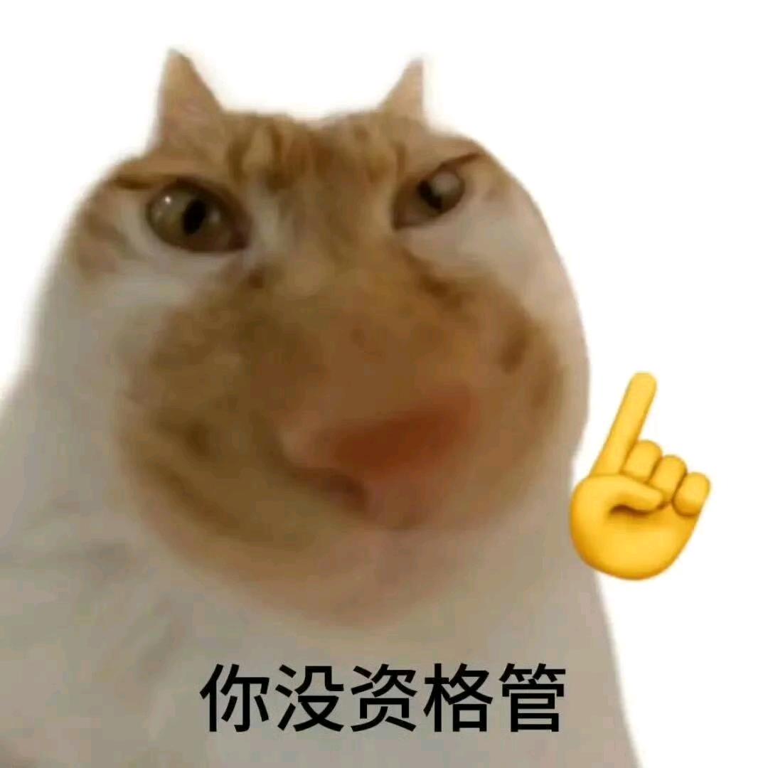 我！配享太庙！（秦彻老婆版）