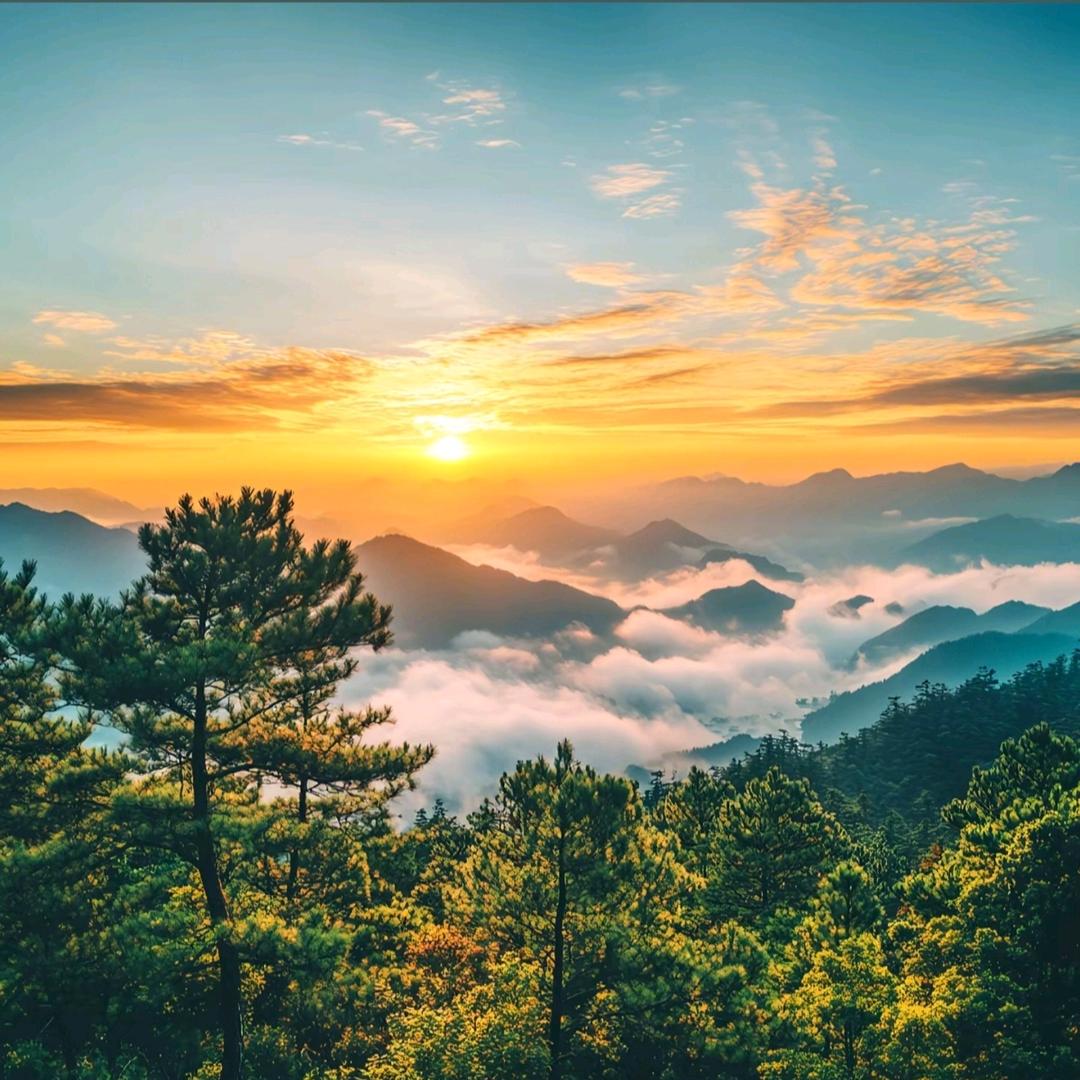 东 柠
