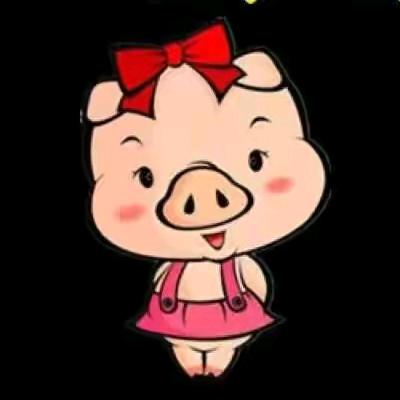 小胖猪