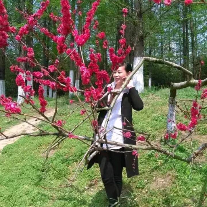云彩飞扬