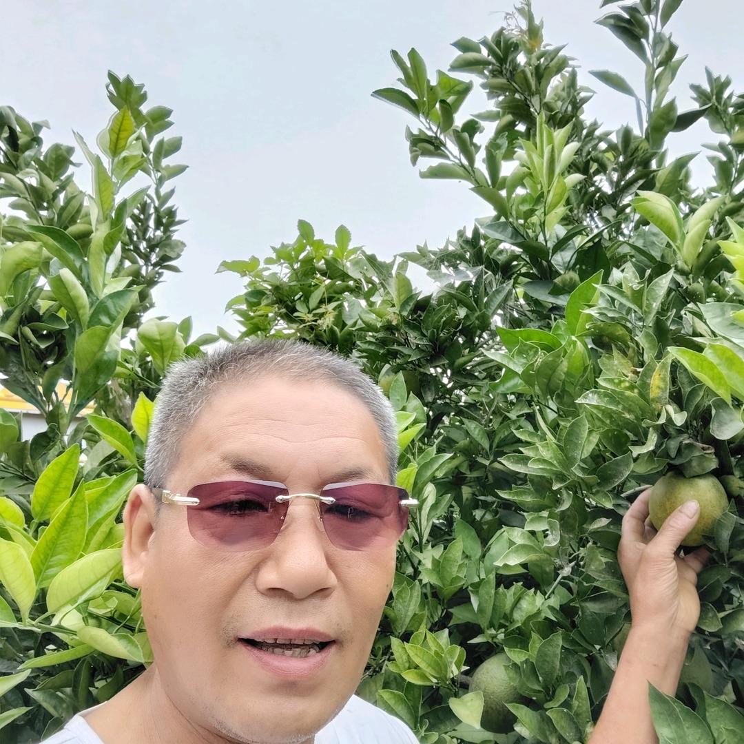 金仔，承蒙厚爱