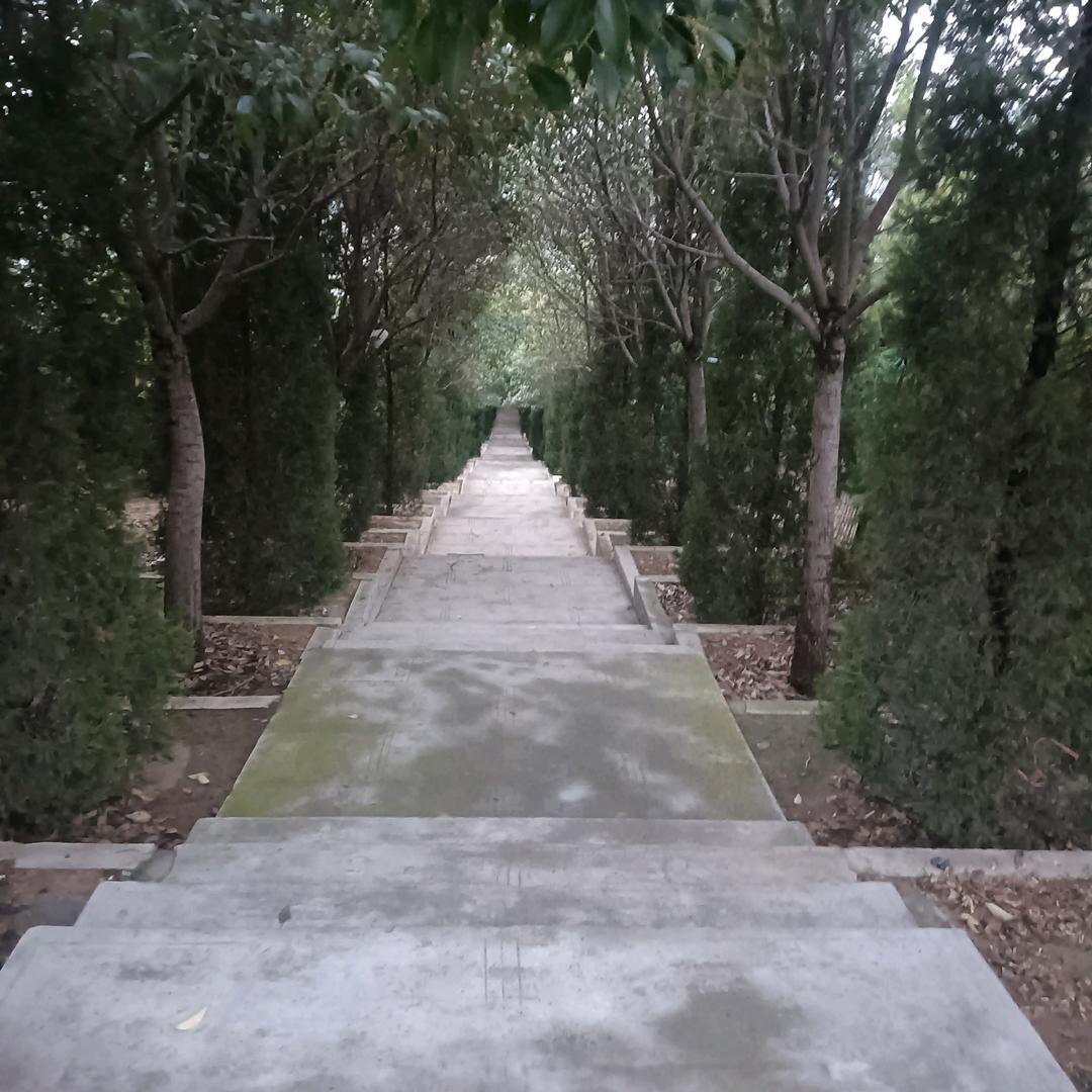 沉默就是一个迷