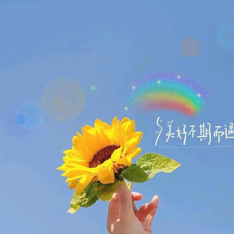 ﾉ☀攒快乐🥂