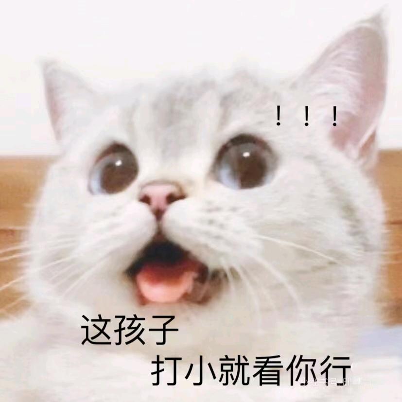 热烈的羊