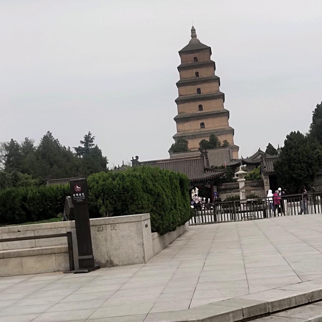 小高曾