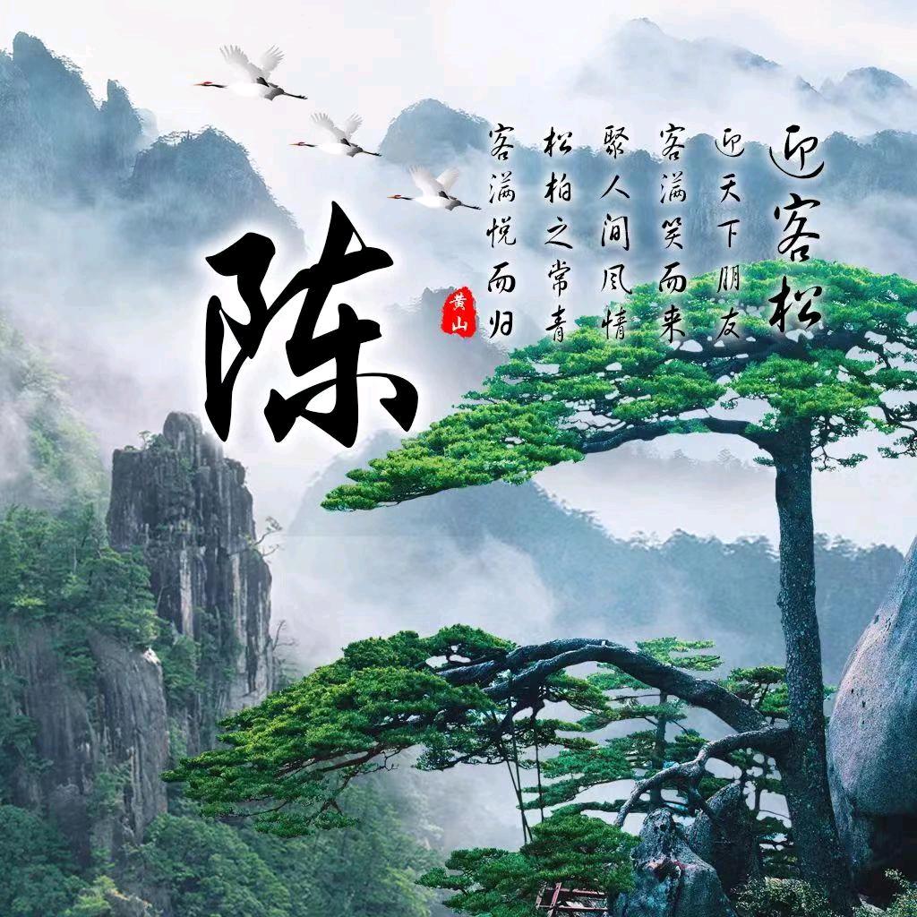 敏🌷