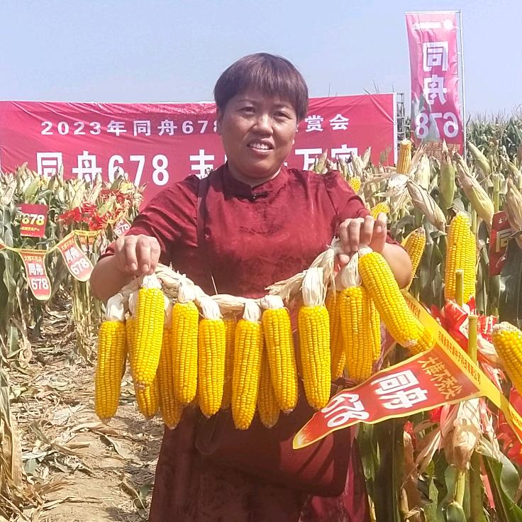 春荣农资