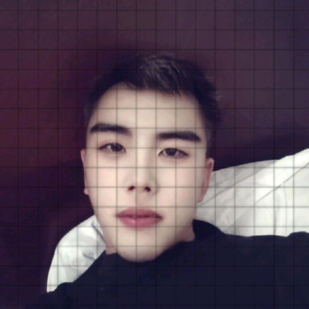 不会飞的小鸡