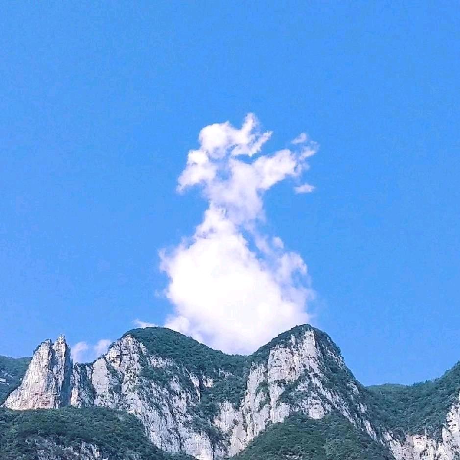笙笙
