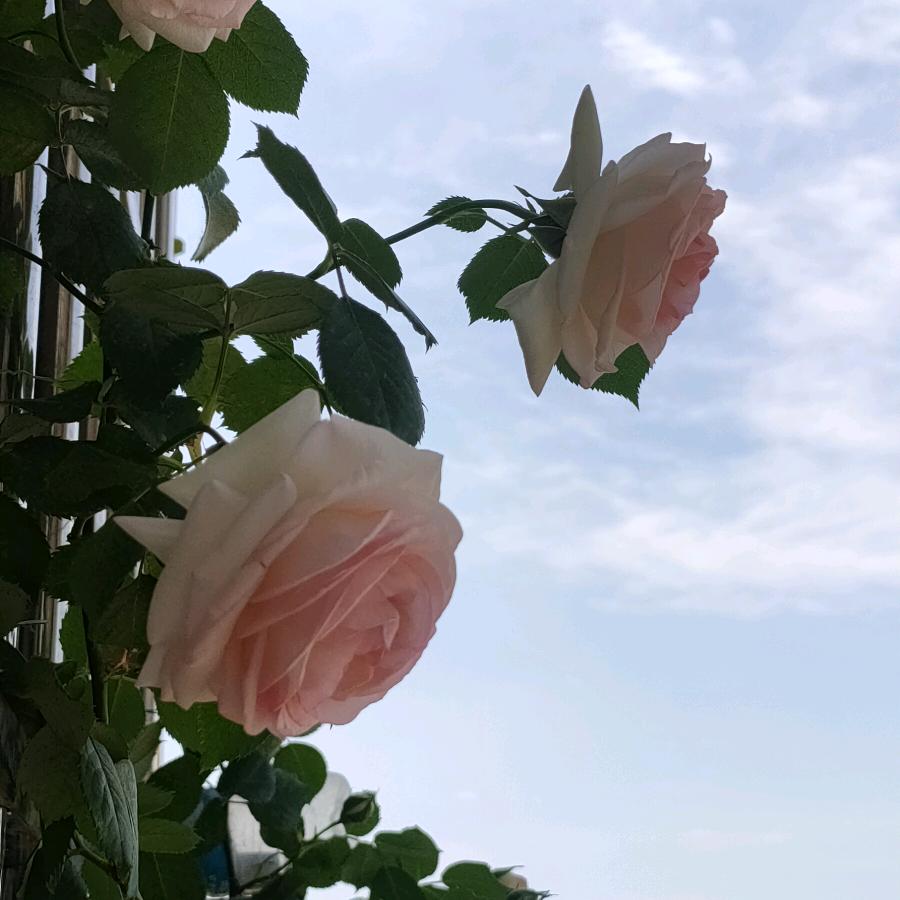 @满天星( ﹡ˆoˆ﹡ )