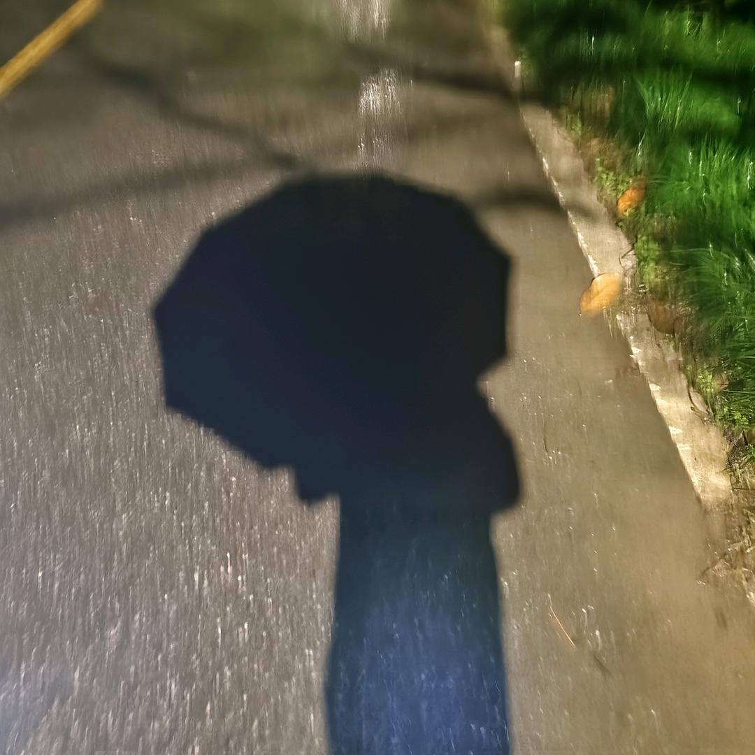 捣蛋鬼日记