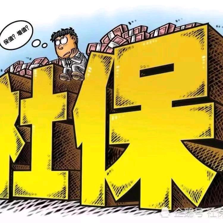 我要的飞翔