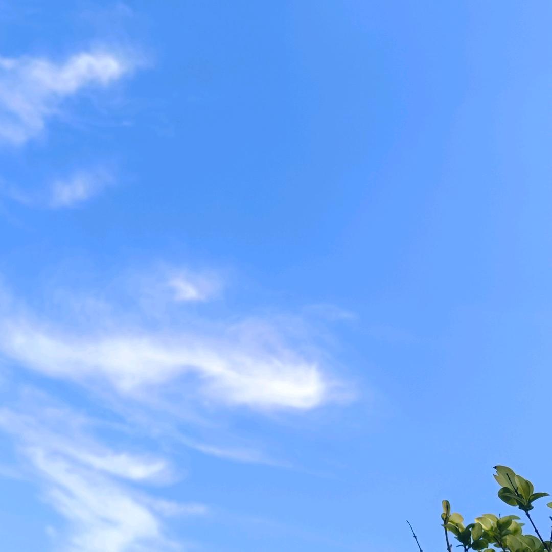 Aa1