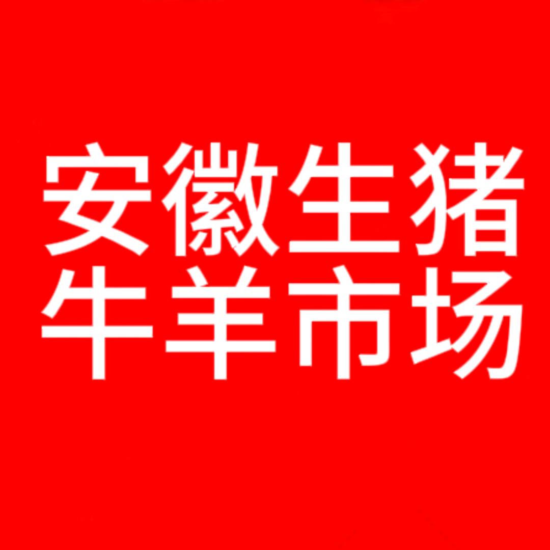 安徽淮北生猪牛羊交易市场