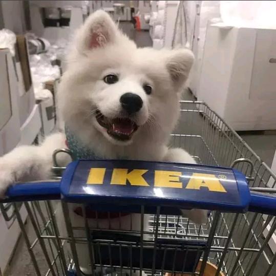 KexinbooK