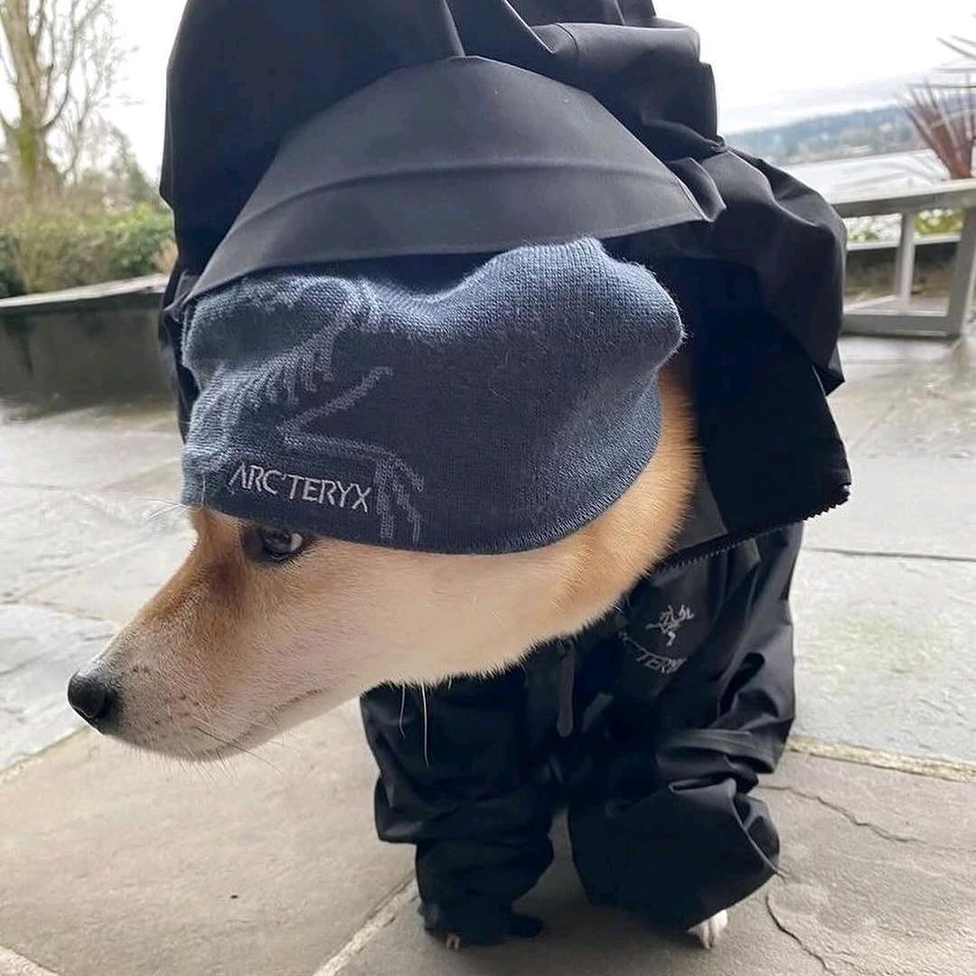 奥纳纳