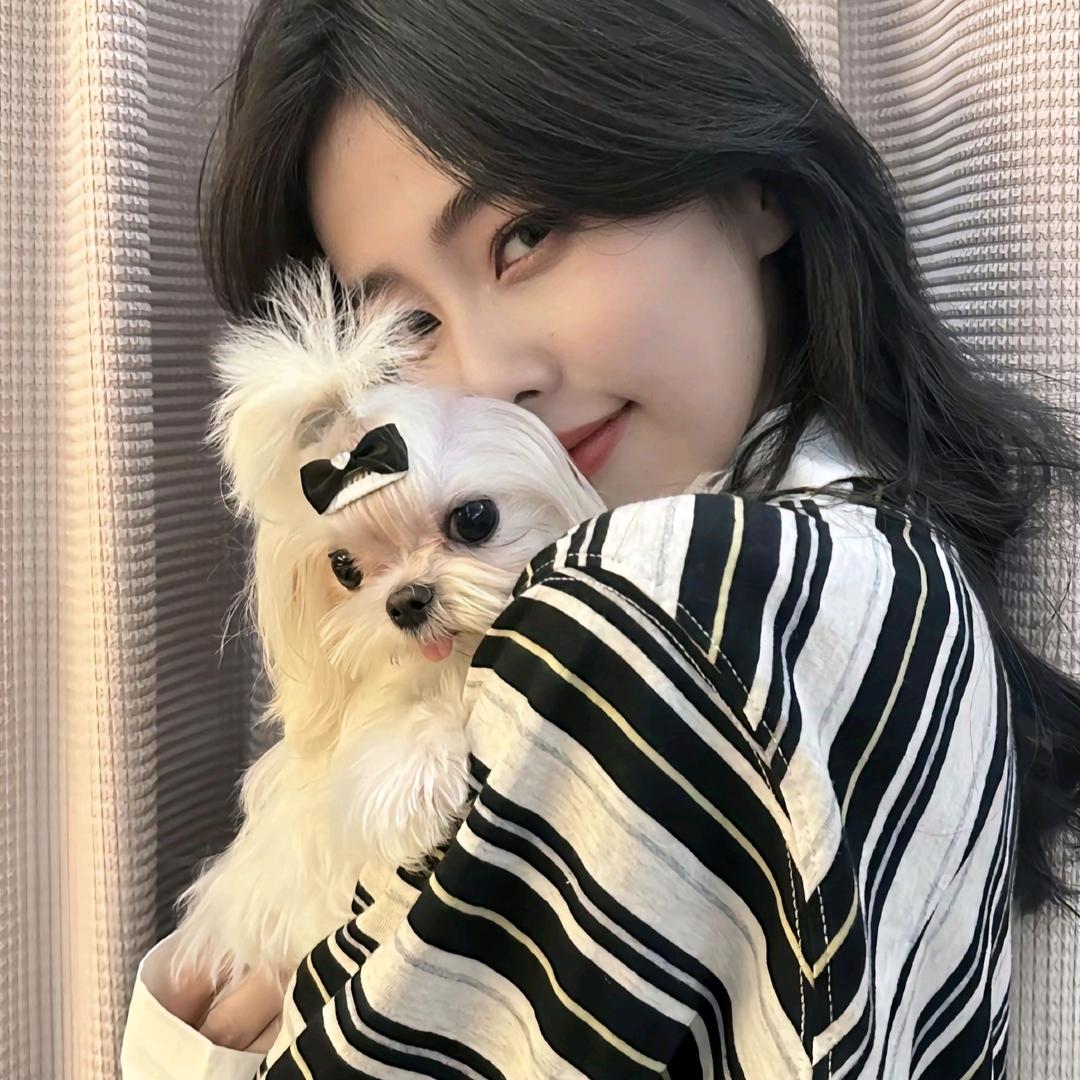 N..(见过白鹿版)