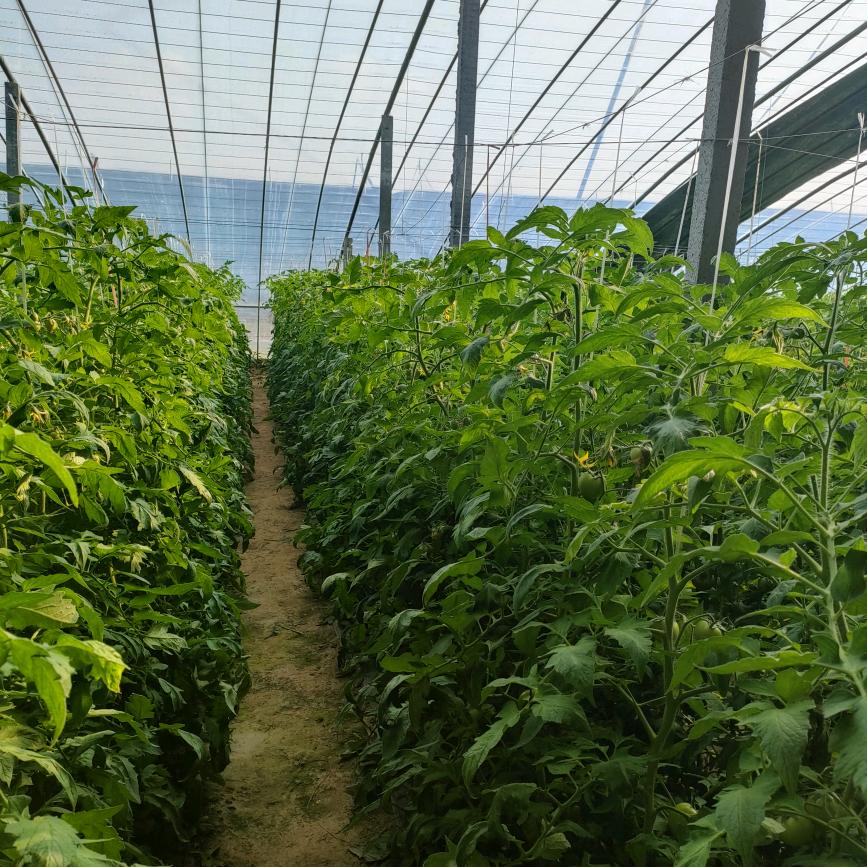 猎人🚀🚀🚀✈️✈️✈️