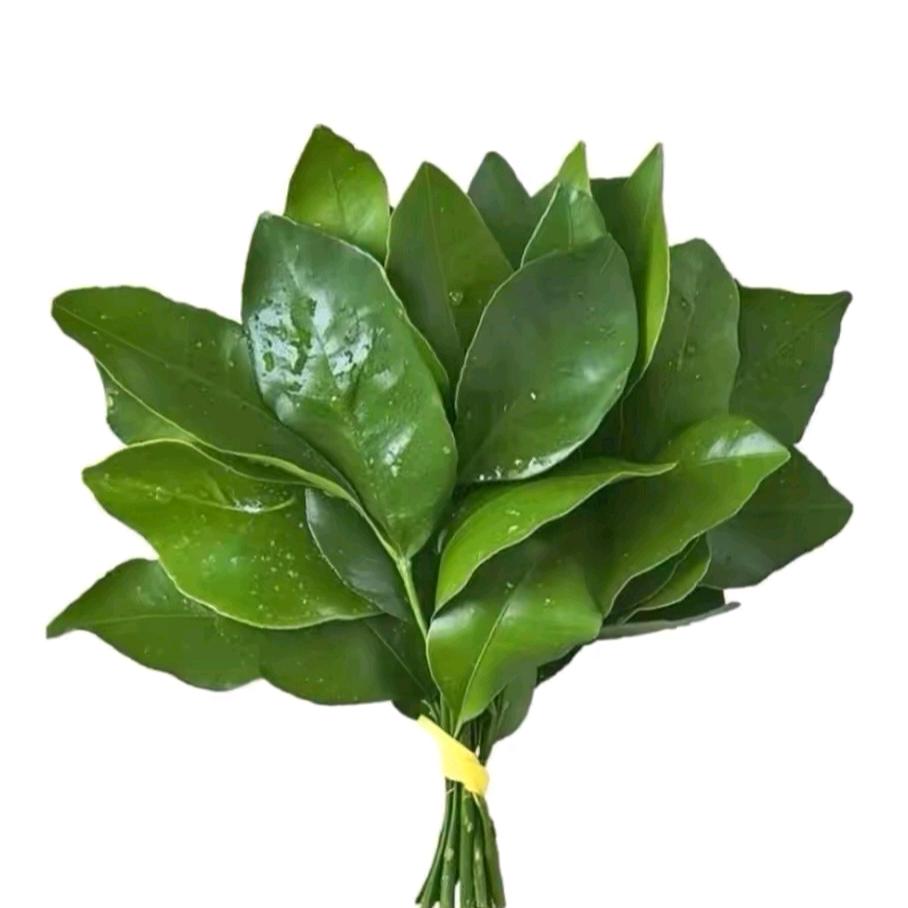 胡筒里