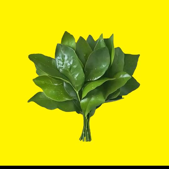 晦气ψ(*｀ー´)ψ