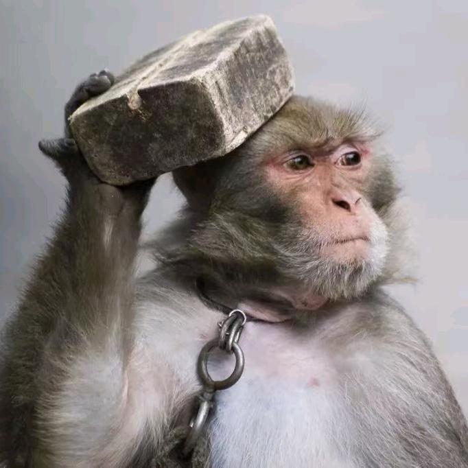 每天都在掉头发