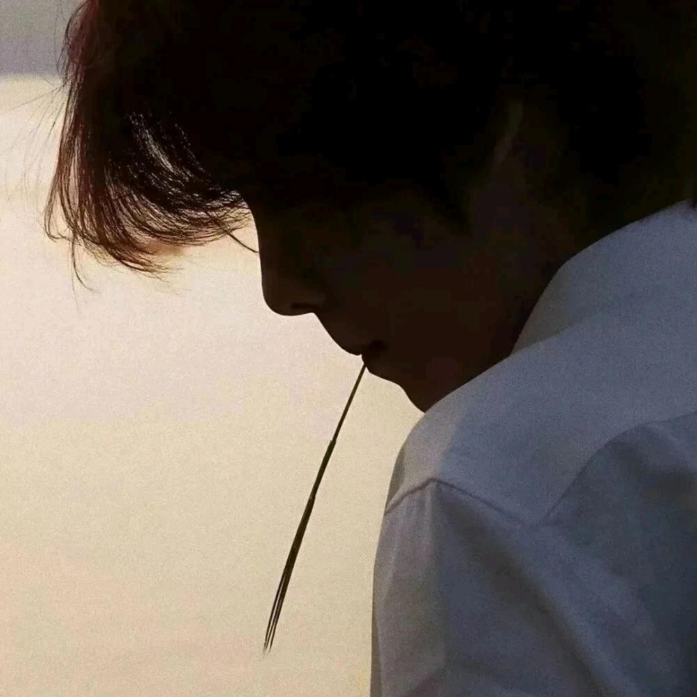 地球🌏最强直立猿