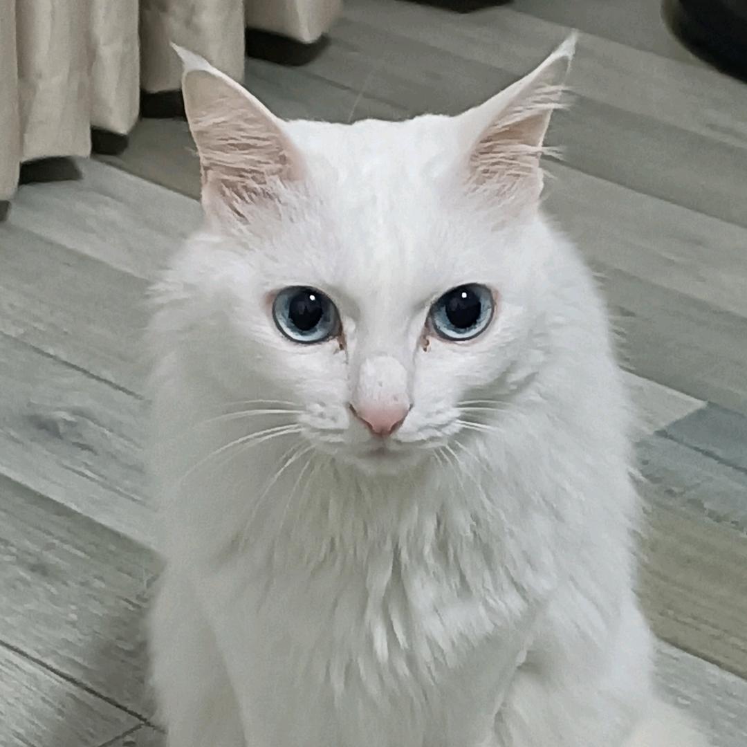 流年