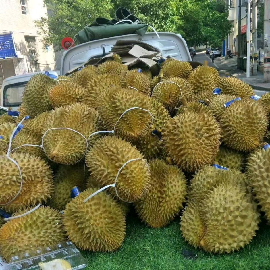 小黄🍎🍎🍒水果🍒🍇