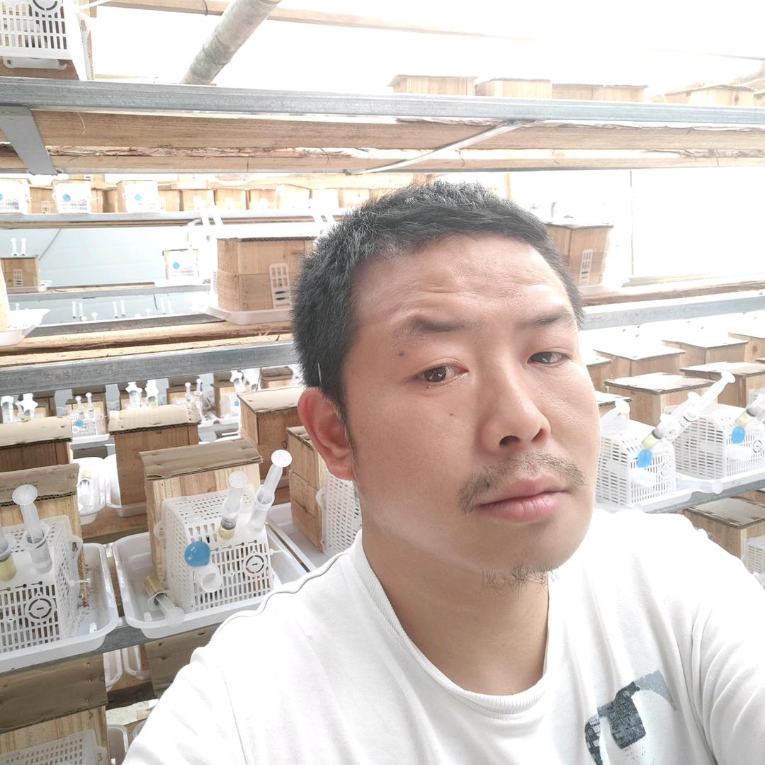 张家界锦瑞种养专业合作社（胡蜂养殖）