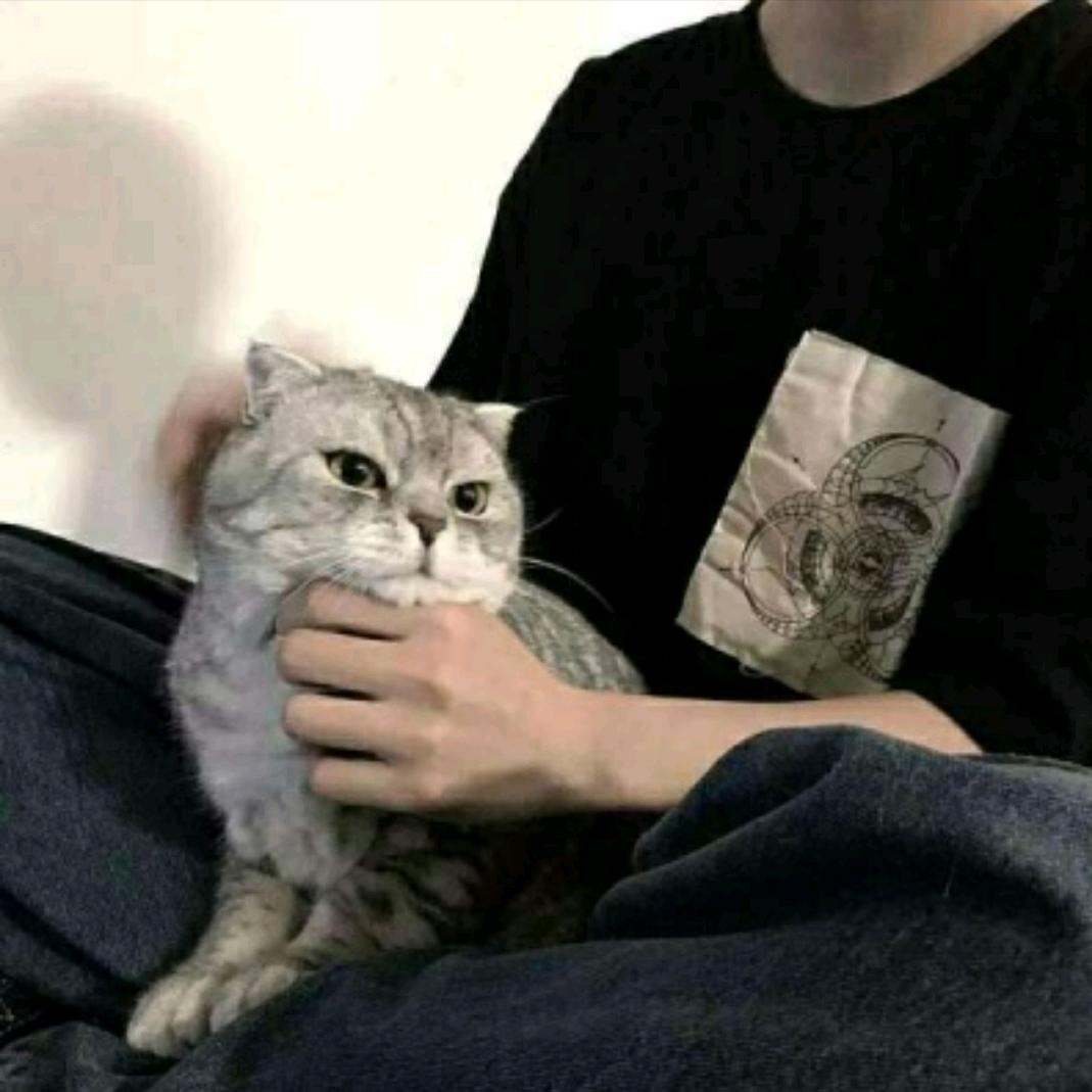 叫我俊哥