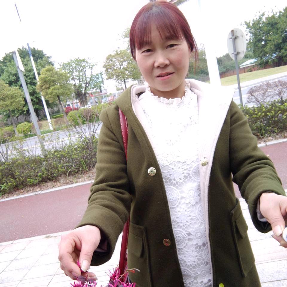 丁正菊
