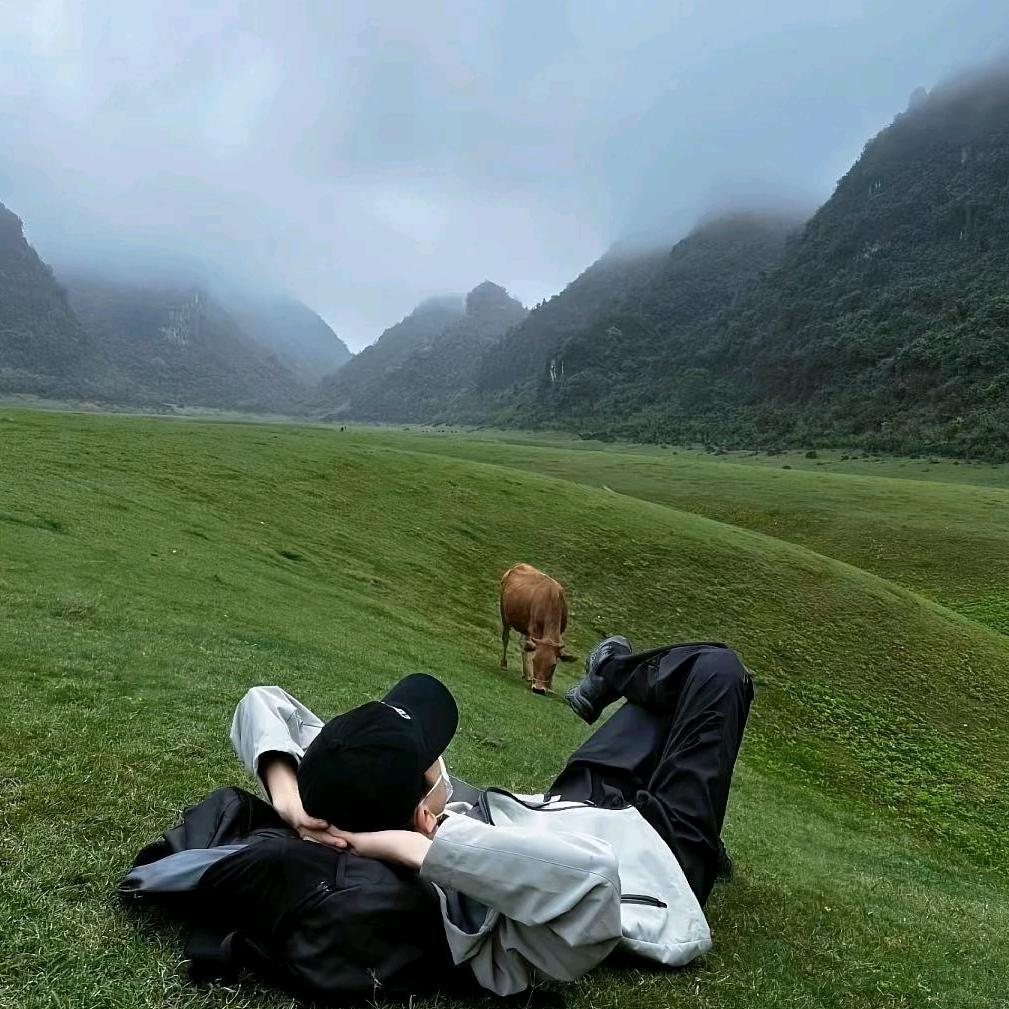 大象鼻的匹诺曹