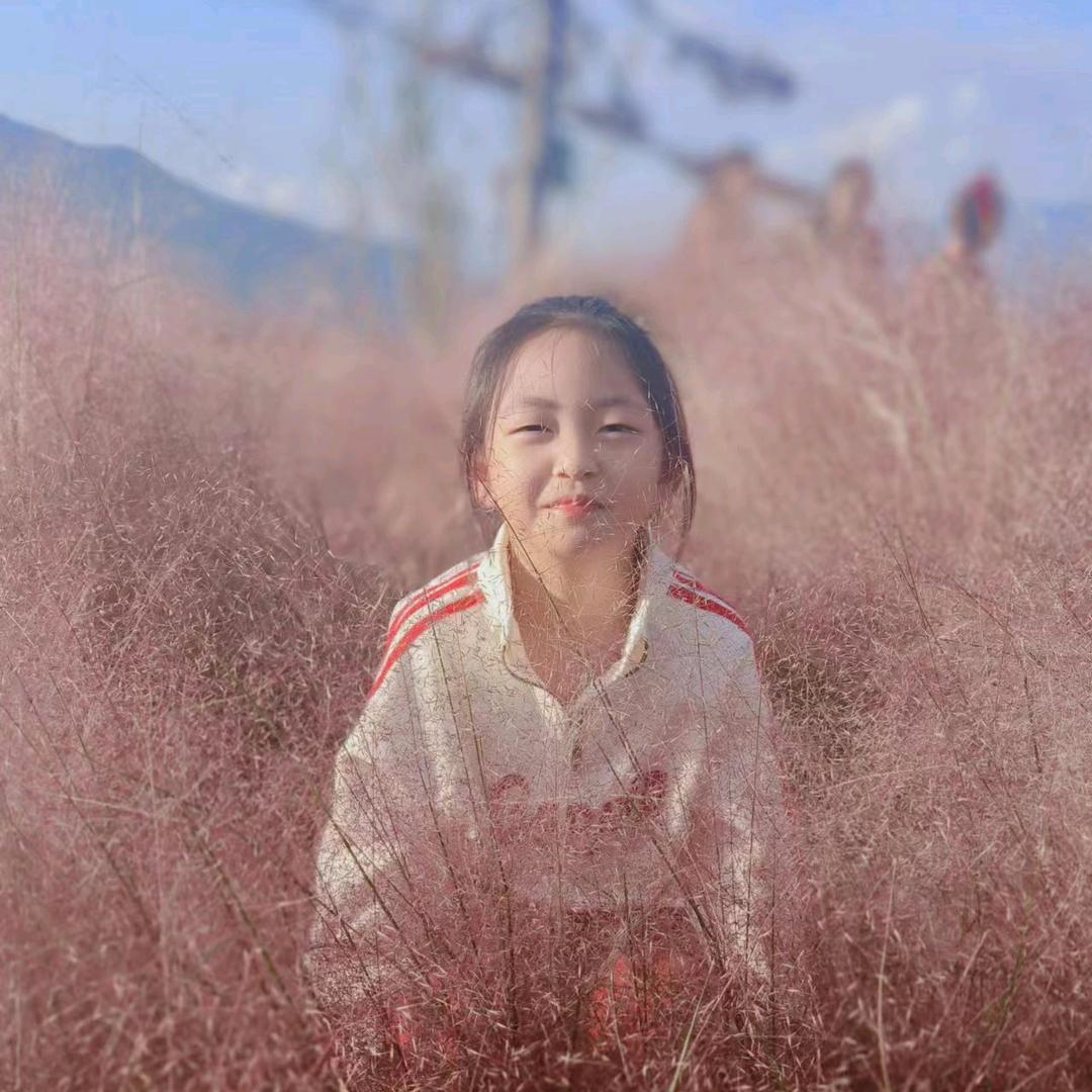 🌙刘住拾光