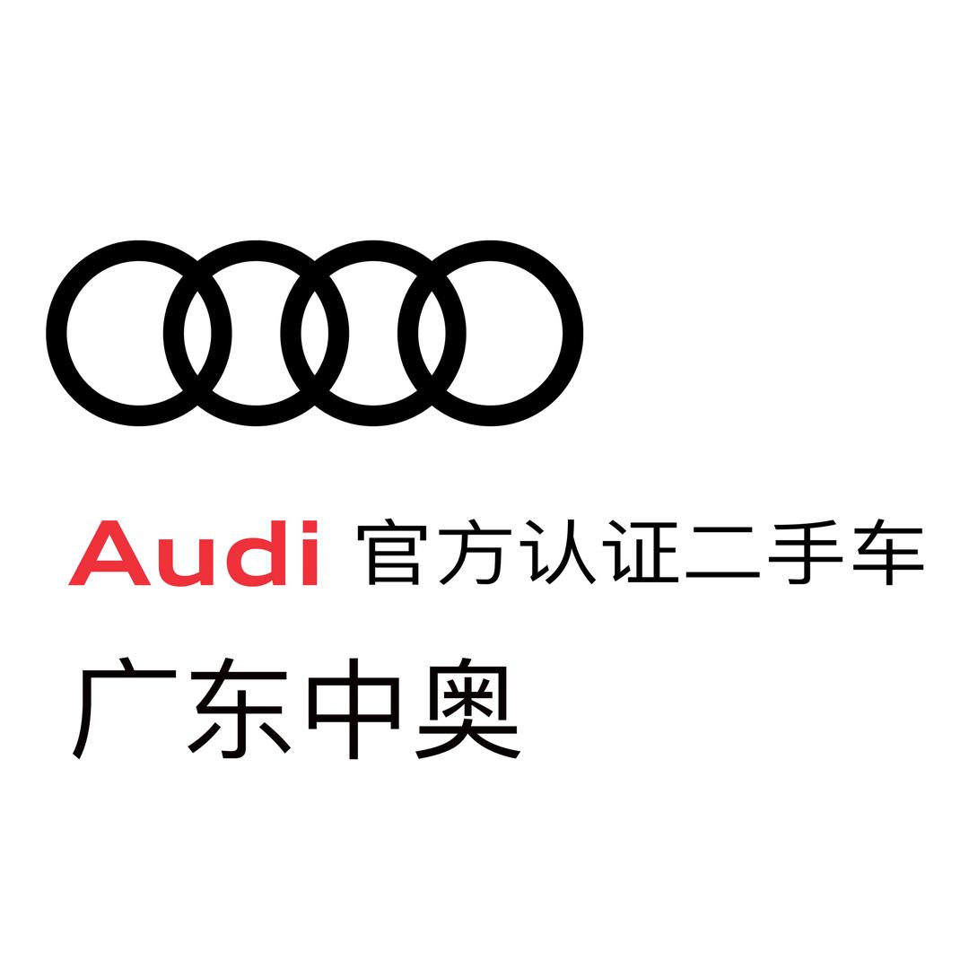广东中奥奥迪二手车