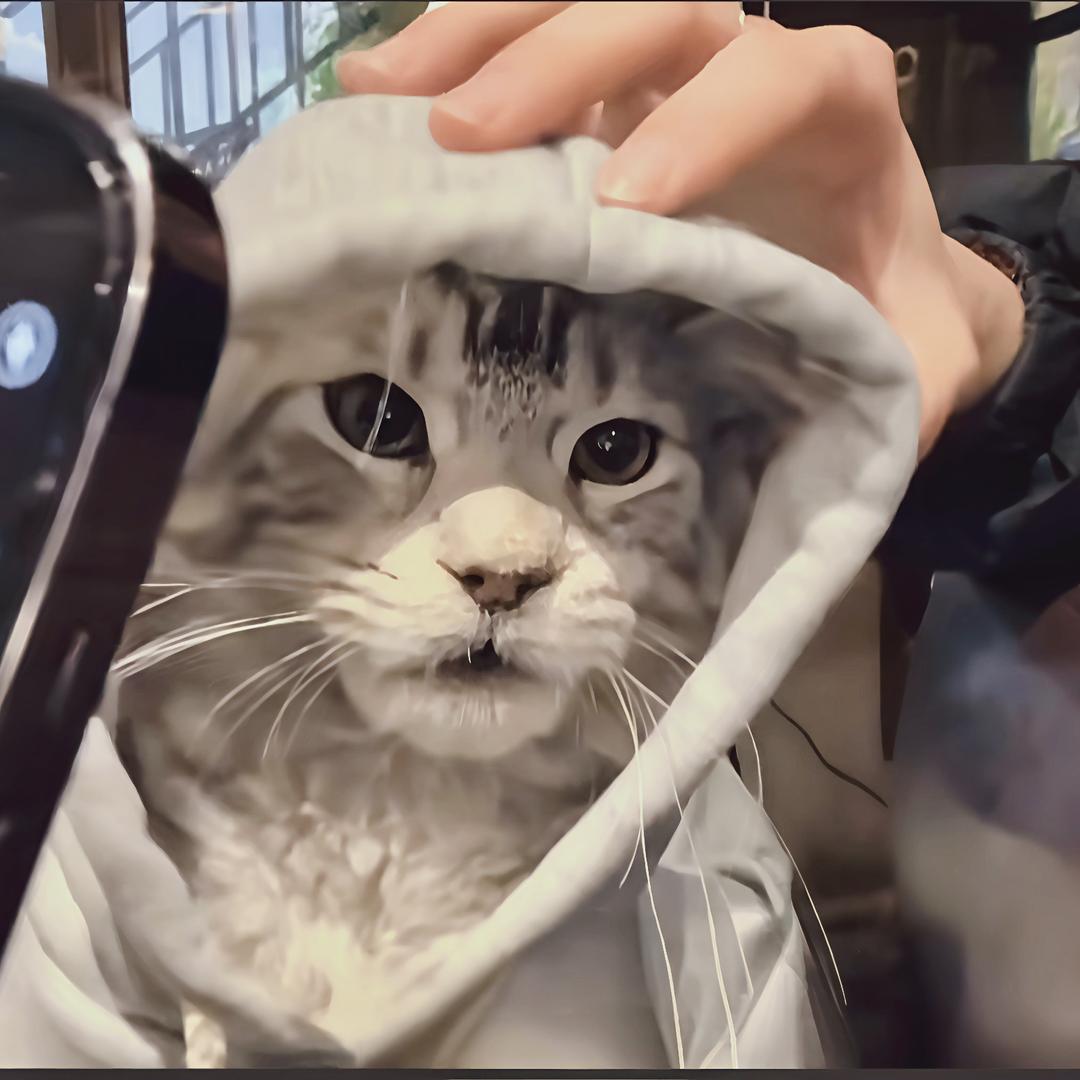 无法选中的碎片