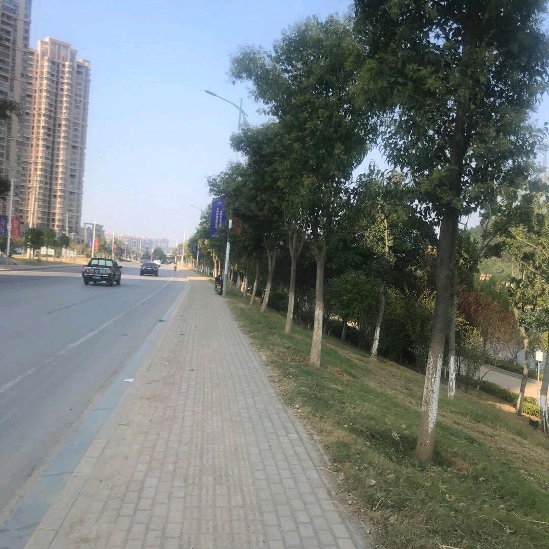 一条服务吹喇叭。🌷🌷